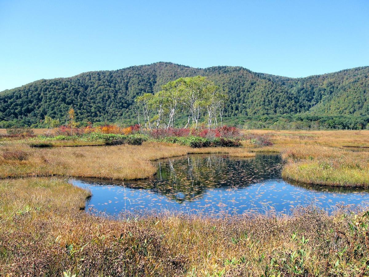 Pension Green Field Katashina Zewnętrze zdjęcie